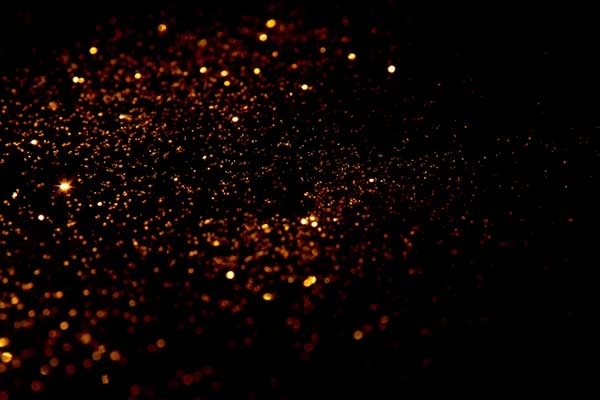 元素分析儀 元素分析儀